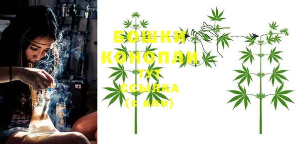 ГАЛЛЮЦИНОГЕННЫЕ ГРИБЫ Абаза