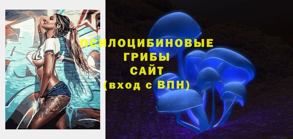 ГАЛЛЮЦИНОГЕННЫЕ ГРИБЫ Абаза