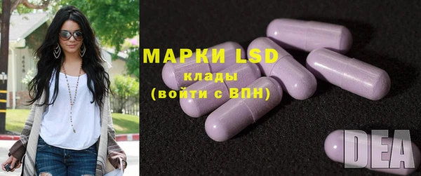 ГАЛЛЮЦИНОГЕННЫЕ ГРИБЫ Абаза