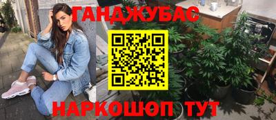 прущие грибы Ливны