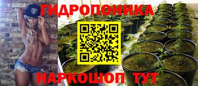 прущие грибы Ливны