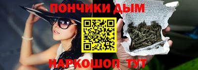 индика Лесосибирск
