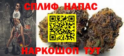 индика Лесосибирск