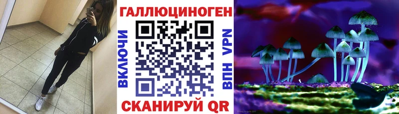 купить   Домодедово  Галлюциногенные грибы Magic Shrooms 