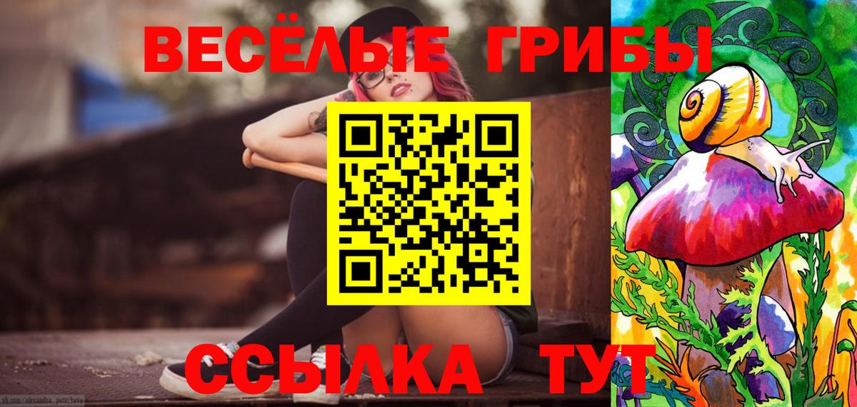 Псилоцибиновые грибы MAGIC MUSHROOMS Домодедово
